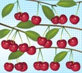 Cherries on light blue