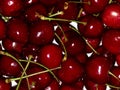 Cherries Royalty Free Stock Photo