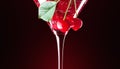 Cherries in a martini glass Royalty Free Stock Photo