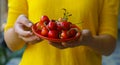 Cherries on a plate in the girl's hand Royalty Free Stock Photo