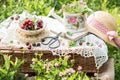 Cherries in plate on  picnic suitcase with crocheted tablecloth, decorated vase watering can  with clovers in it on the book Royalty Free Stock Photo