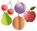 Cherries, a plum, a peach, an apple and a pear are seen