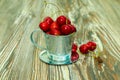 Cherries (Prunus avium)