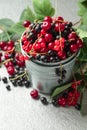 Cherries, red and black currants in a small metal bucket Royalty Free Stock Photo