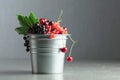 Cherries, red and black currants in a small metal bucket Royalty Free Stock Photo