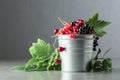 Cherries, red and black currants in a small metal bucket Royalty Free Stock Photo