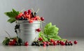 Cherries, red and black currants in a small metal bucket Royalty Free Stock Photo