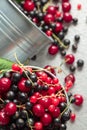 Cherries, red and black currants in a small metal bucket Royalty Free Stock Photo