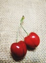 Cherries Royalty Free Stock Photo