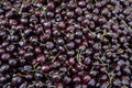 Cherries for Sale in a Marketplace Royalty Free Stock Photo