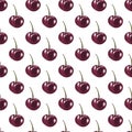 Cherries seamless pattern on white background