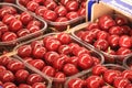 Cherries seasonal fruit farming Emilia Romagna Italy