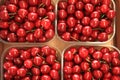 Cherries seasonal fruit farming Emilia Romagna Italy