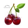 Cherries and splashes of watercolor painting