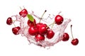 Cherries splashing in water on white background