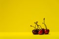 Cherries stand in the right corner of the photo against a yellow background. Royalty Free Stock Photo