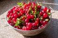 Cherries in a steel sieve. top view, texture Royalty Free Stock Photo