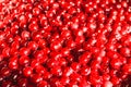 Cherries in sugar syrup, close-up Royalty Free Stock Photo