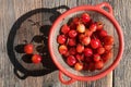 Cherries in the sunlight Royalty Free Stock Photo