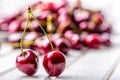 Cherries. Sweet Cherries. Fresh Cherries. Ripe cherries on wooden concrete table - board Royalty Free Stock Photo