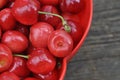Cherries Royalty Free Stock Photo