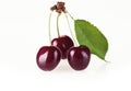 Cherries on twig with green leaf isolated