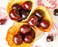 Cherries in a waffle cornet Royalty Free Stock Photo