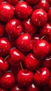 Cherries with water drops background. Close-up Royalty Free Stock Photo