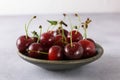 Cherries in water drops in a gray ceramic saucer on a light gray background.