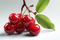 Cherries with water drops on a white background with a shadow Royalty Free Stock Photo