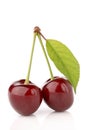 Cherries on a white background