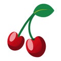 Cherries on a white background vector illustration . Royalty Free Stock Photo