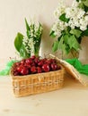 Cherries in a wicker basket Royalty Free Stock Photo