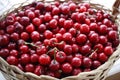 Cherries in a wooden basket with leaves on the table. close-up Royalty Free Stock Photo