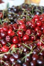 Cherry Royalty Free Stock Photo