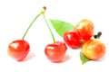 Cherry