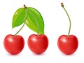 Cherry