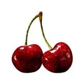 Polygonal cherry in vector Royalty Free Stock Photo