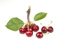 Cherry Royalty Free Stock Photo