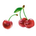 Cherry