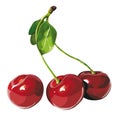 Cherry