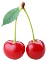 Cherry