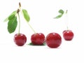 Cherry Royalty Free Stock Photo