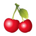 Cherry