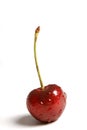 Cherry Royalty Free Stock Photo