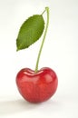 Cherry Royalty Free Stock Photo