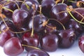 Cherry Royalty Free Stock Photo