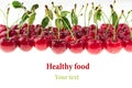 Cherry background. Bunches of ripe juicy rich shiny cherries on a white background.