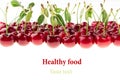 Cherry background. Bunches of ripe juicy rich shiny cherries on a white background. Royalty Free Stock Photo