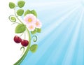 Cherry Background Royalty Free Stock Photo